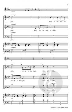 Winter Lights von Audrey Snyder 