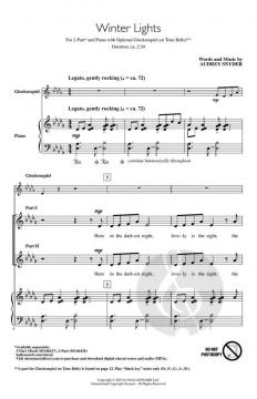 Winter Lights von Audrey Snyder 