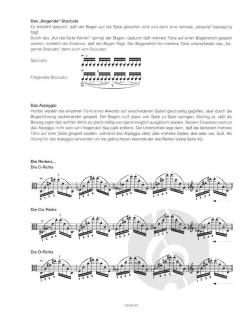 Leitfaden des Violaspiels von Roland Bierwald im Alle Noten Shop kaufen