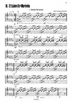 Compendium der 4-Mallet-Techniken von Wessela Kostowa für Vibraphon und Marimba im Alle Noten Shop kaufen