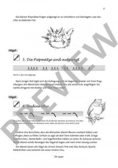 Pitti Pieps rettet das Weihnachtsfest (Almut Werner) 