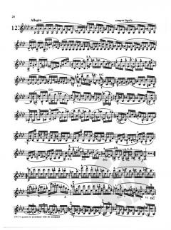 24 Capricen op. 1 von Niccolò Paganini 
