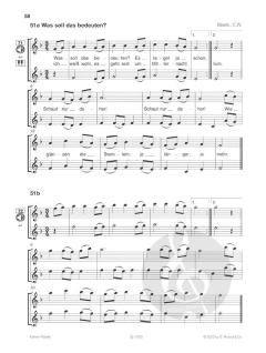 Flöte spielen - Querflötenschule Band A im Alle Noten Shop kaufen