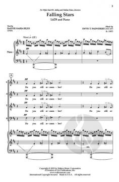 Falling Stars von Kevin T. Padworski 