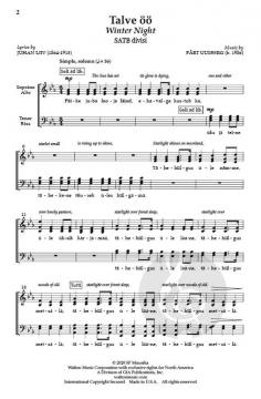 Talve oo von Pärt Uusberg 