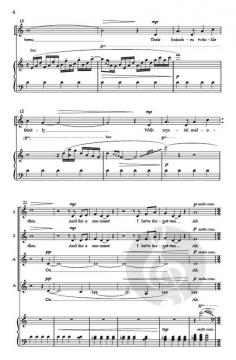 The Great Clear Twilight von Austin Schend 