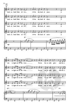 The Great Clear Twilight von Austin Schend 