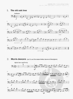 Shooting Stars  von Katherine Colledge, Hugh Colledge 