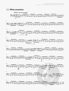 Shooting Stars  von Katherine Colledge, Hugh Colledge 