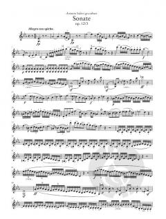 Sonaten für Violine und Klavier I op. 12, op. 23, op. 24 Band 1 im Alle Noten Shop kaufen