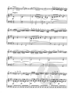 Konzert Nr. 22 von Giovanni Battista Viotti 