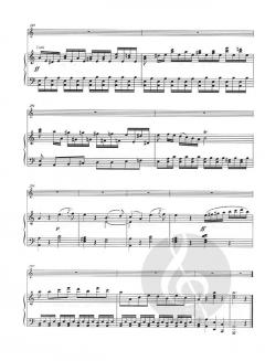 Konzert Nr. 22 von Giovanni Battista Viotti 