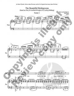 The Beautiful Bridegroom 