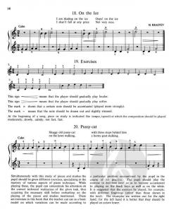 The Russian School Of Piano Playing Band 1 Teil 1 von Martin Hughes 