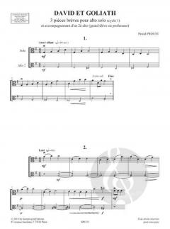 David et Goliath von Pascal Proust 