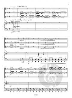 Passatempo von Pascal Proust 