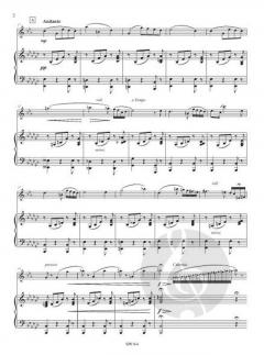 Solo de concert von Louis Mayeur 