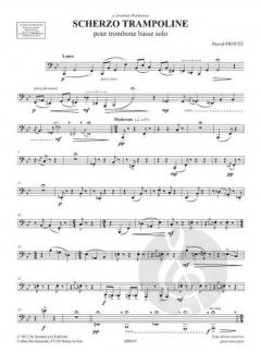 Scherzo trampoline von Pascal Proust 