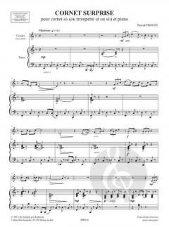 Cornet surprise von Pascal Proust 