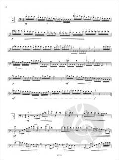 13 Etudes von Christophe Picot 