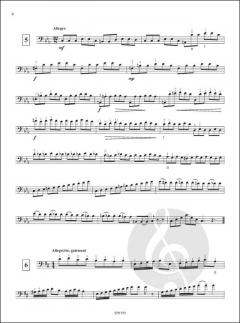 13 Etudes von Christophe Picot 