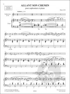 Allant Son Chemin von Marc Lys 