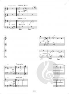 Pour Un Conte Imaginaire von Pascal Proust 