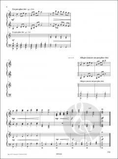 Pour Un Conte Imaginaire von Pascal Proust 