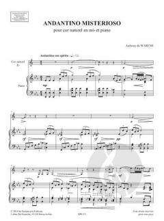 Andantino misterioso von Anthony de Warens 