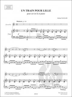 Un Train Pour Lille von Jérôme Naulais 