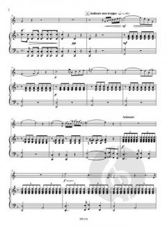 Concerto de Cor Simple von Charles-Ferdinand Dubois 