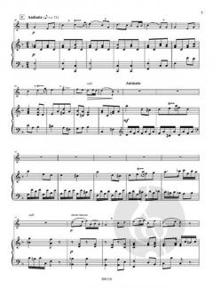 Concerto de Cor Simple von Charles-Ferdinand Dubois 