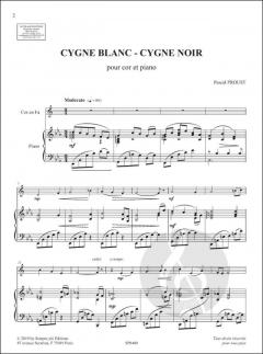 Cygne Blanc - Cygne Noir von Pascal Proust 