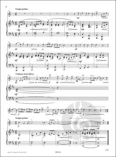 Sapins Blancs Sapins Verts 