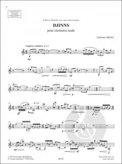 Djinns von Guillaume Druel 