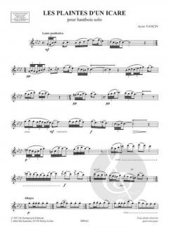 Les plaintes d'un Icare von Ayser Vançin 