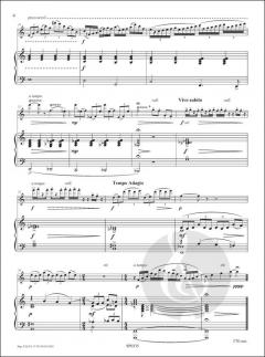 Picoloos von Pascal Proust 