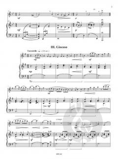 Piccolo divertimento von Pascal Proust 