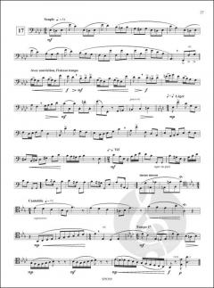 24 Etudes von Olivier Renault 