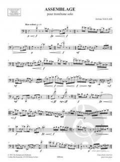 Assemblage von Jérôme Naulais 