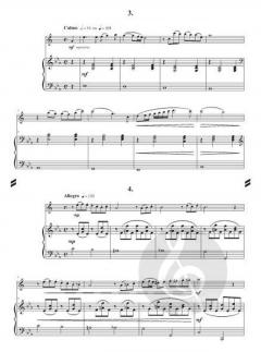 Maestro Saxolino von Gilles Martin im Alle Noten Shop kaufen