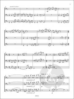 Triplex von Marc Lys 