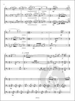 Triplex von Marc Lys 