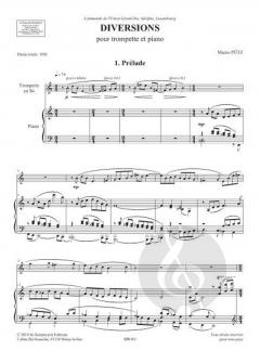 Diversions von Marco Pütz 