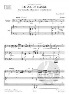 Le Vol de L'Ange von Pascal Proust 