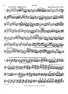 30 Caprices op. 107 von Sigfrid Karg-Elert 