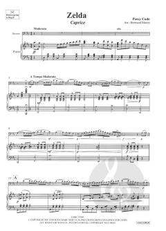 Zelda von Percy Code 