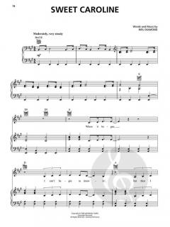 A Beautiful Noise - The Neil Diamond Musical 