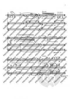 Miniaturen von Iris ter Schiphorst 