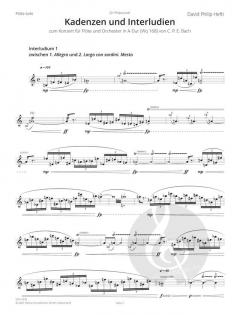 Kadenzen und Interludien 